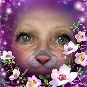 Meet your Posher, Cathy